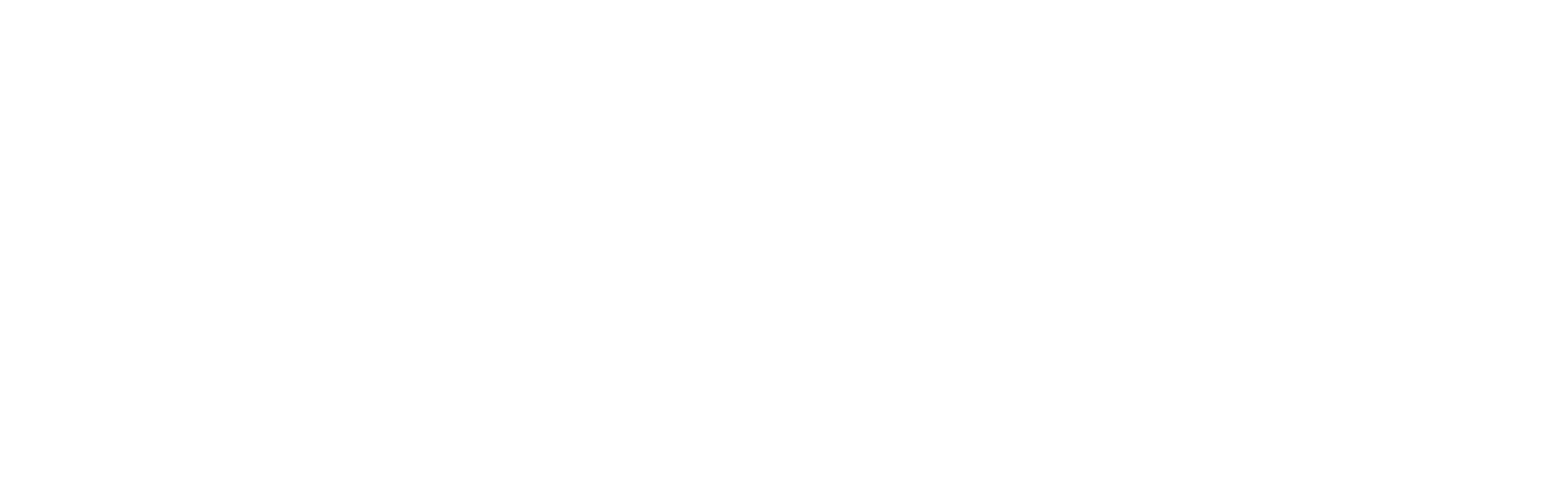 Eskycode official logo